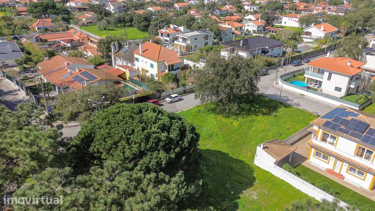 Terreno Carrasqueira (Sesimbra) - Grande imagem: 3/19