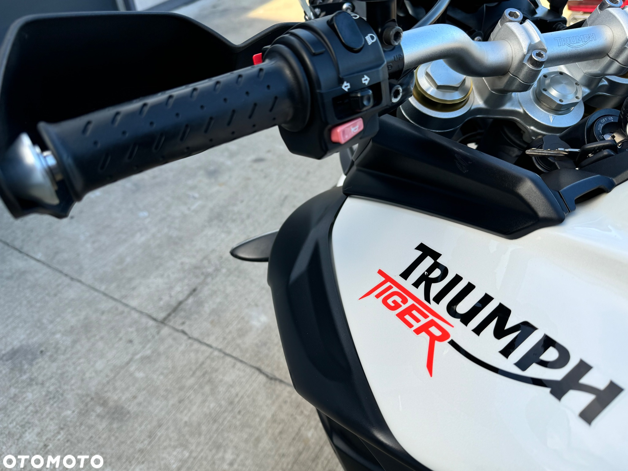 Triumph Tiger - 13
