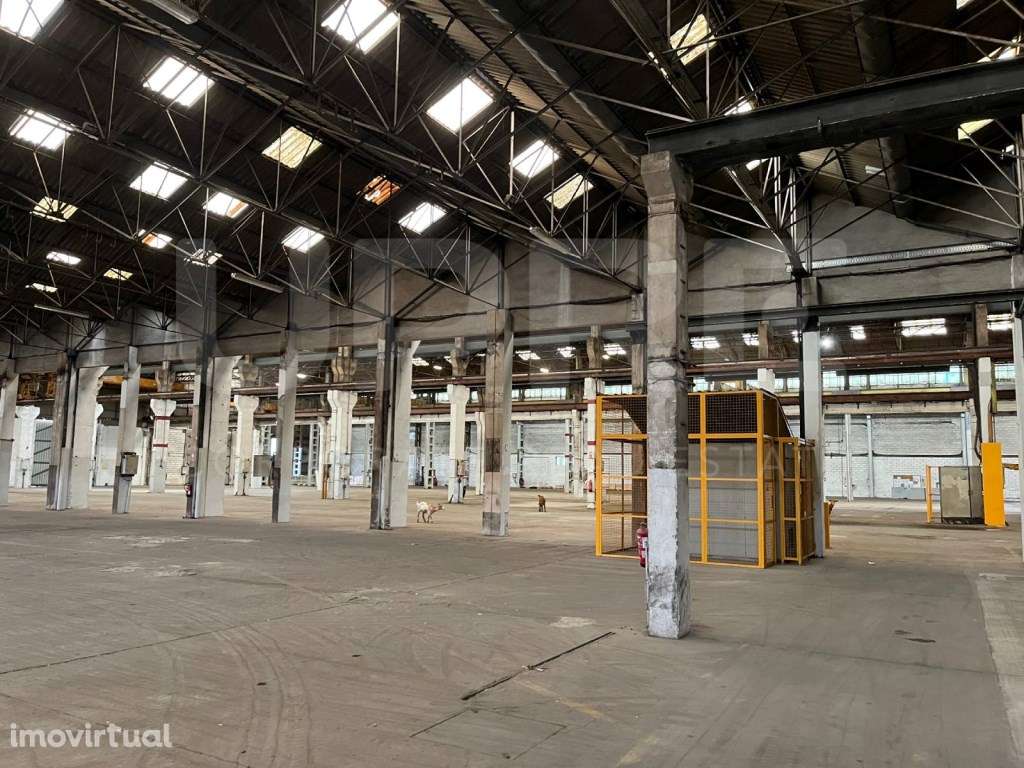 ARRENDA | Nave Industrial/Logística | VN Gaia - Grande imagem: 2/8