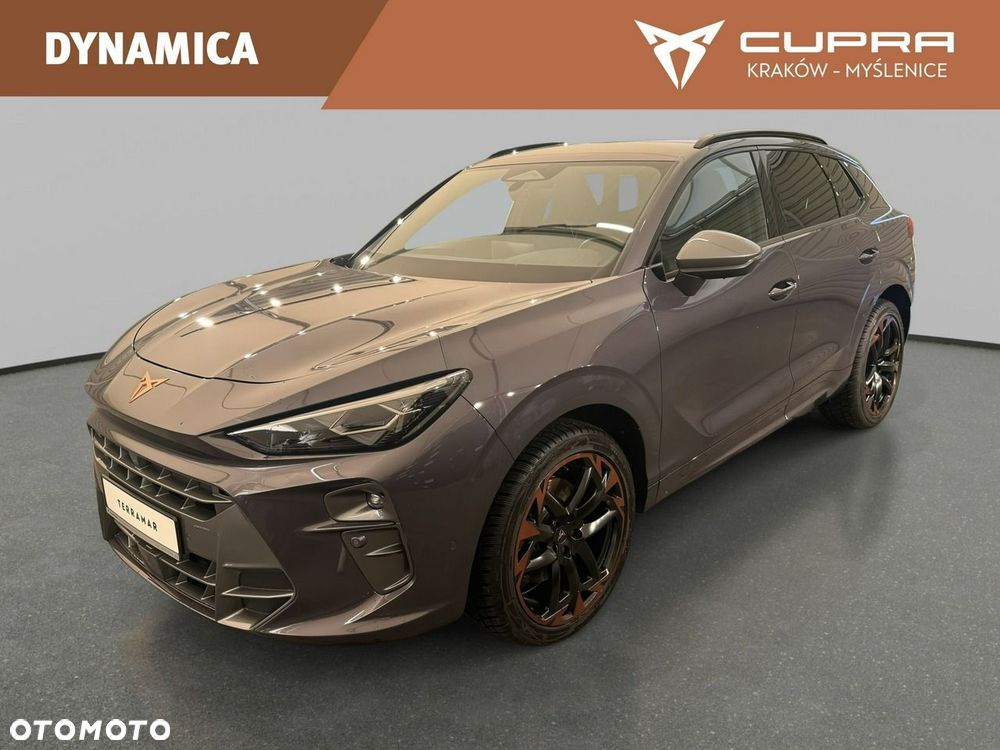 Cupra Terramar - 3