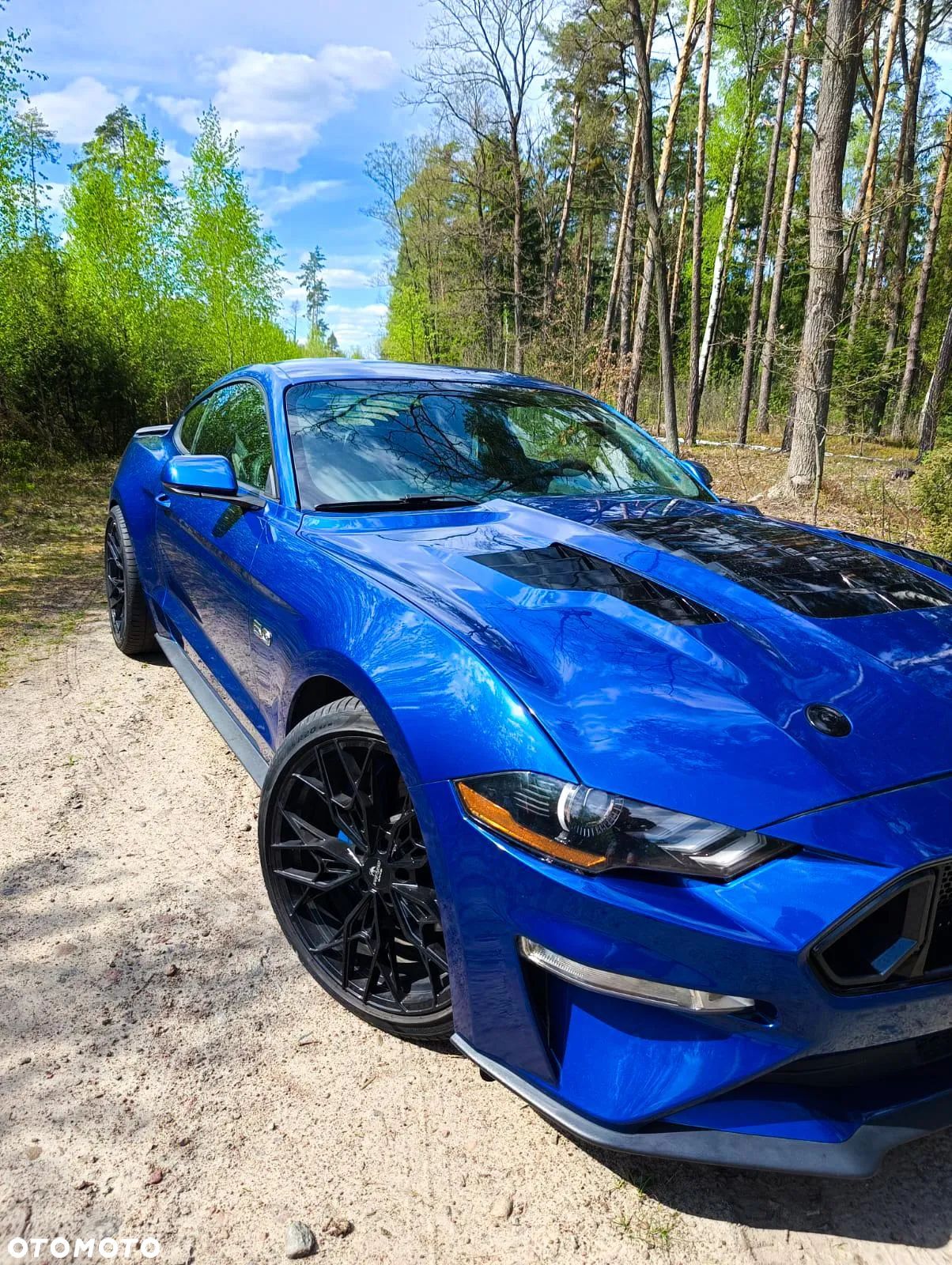 Ford Mustang Fastback 5.0 Ti-VCT V8 MACH1 - 1