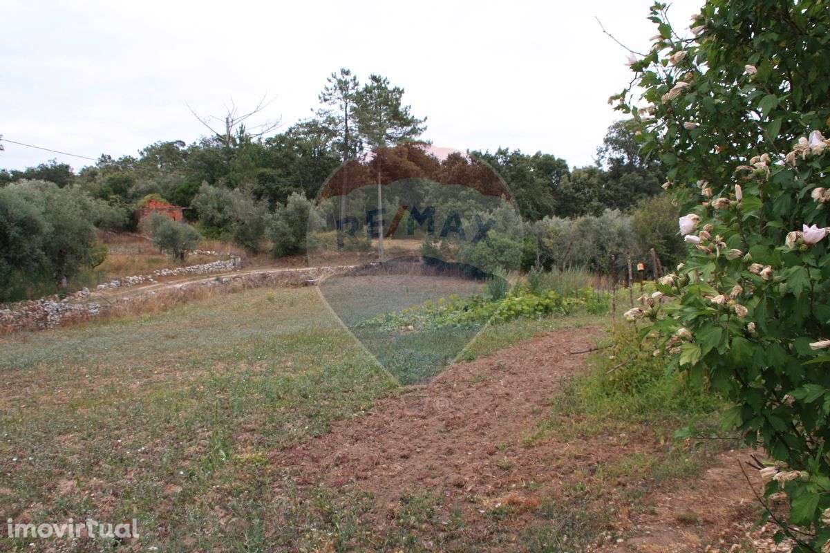 Moradia T3 para venda - Grande imagem: 4/11