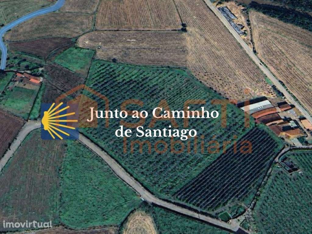 Terreno para investimento com rentabilidade +9% - Grande imagem: 3/19