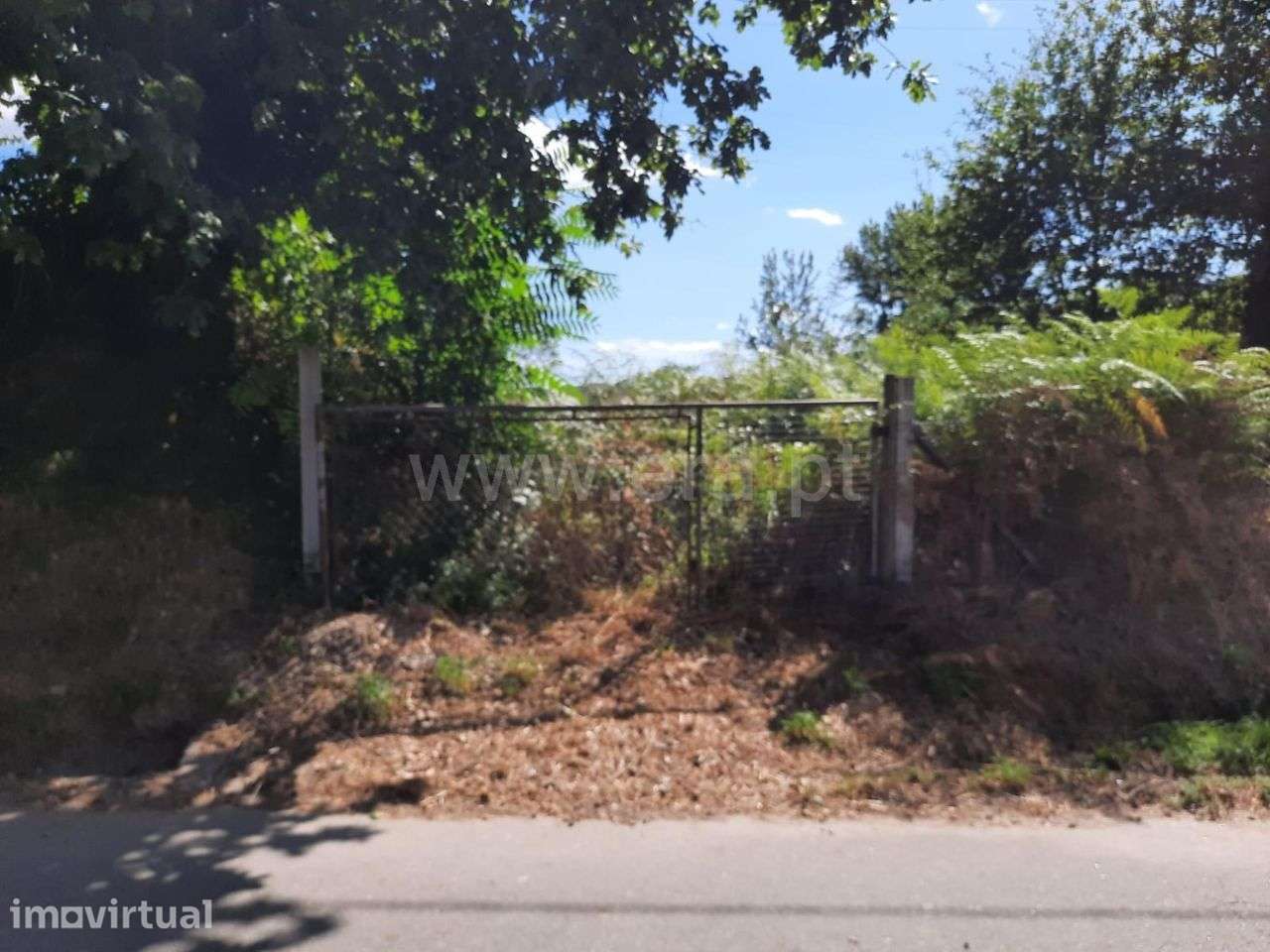 Terreno com 1.600 m2 em Arões São Romão - Grande imagem: 3/10