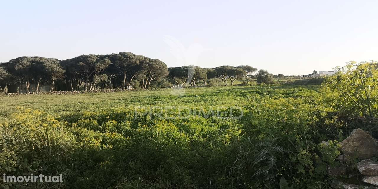 Terreno urbano para loteamento, perto das praias de Sintra - Grande imagem: 4/14
