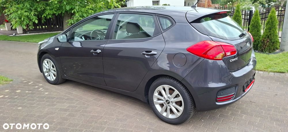 Kia Ceed 1.4 CVVT Dream Team Edition - 14