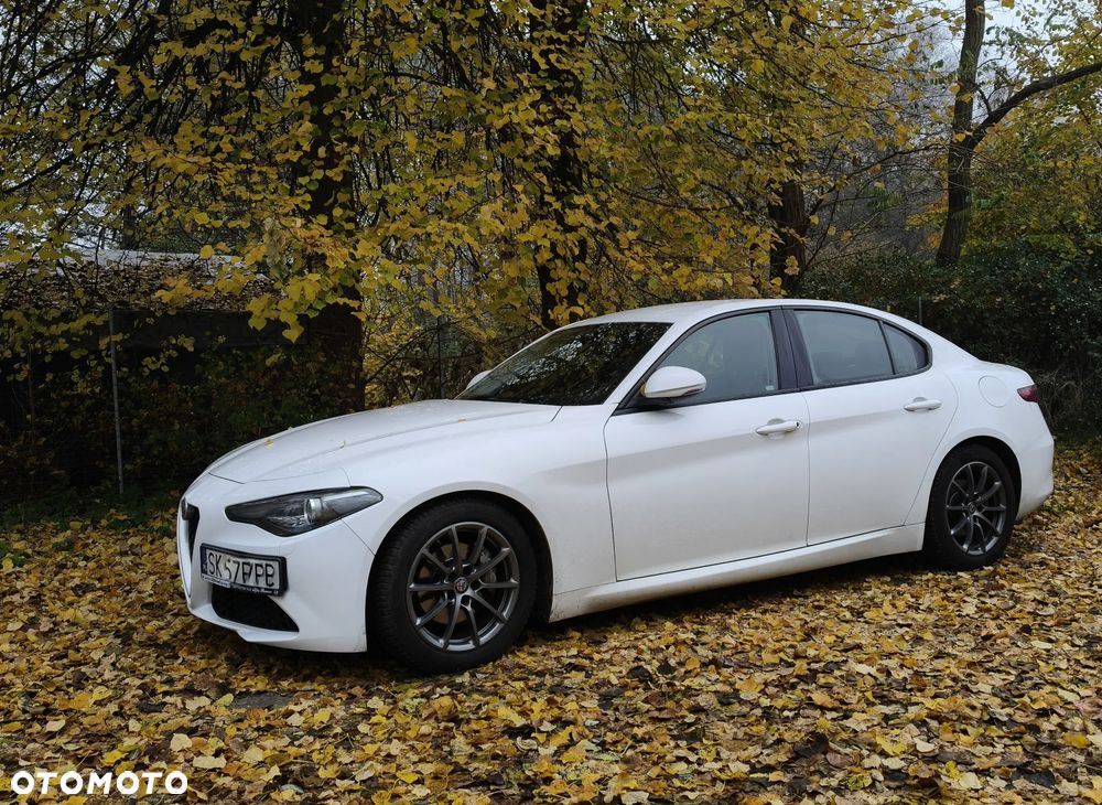 Alfa Romeo Giulia - 1