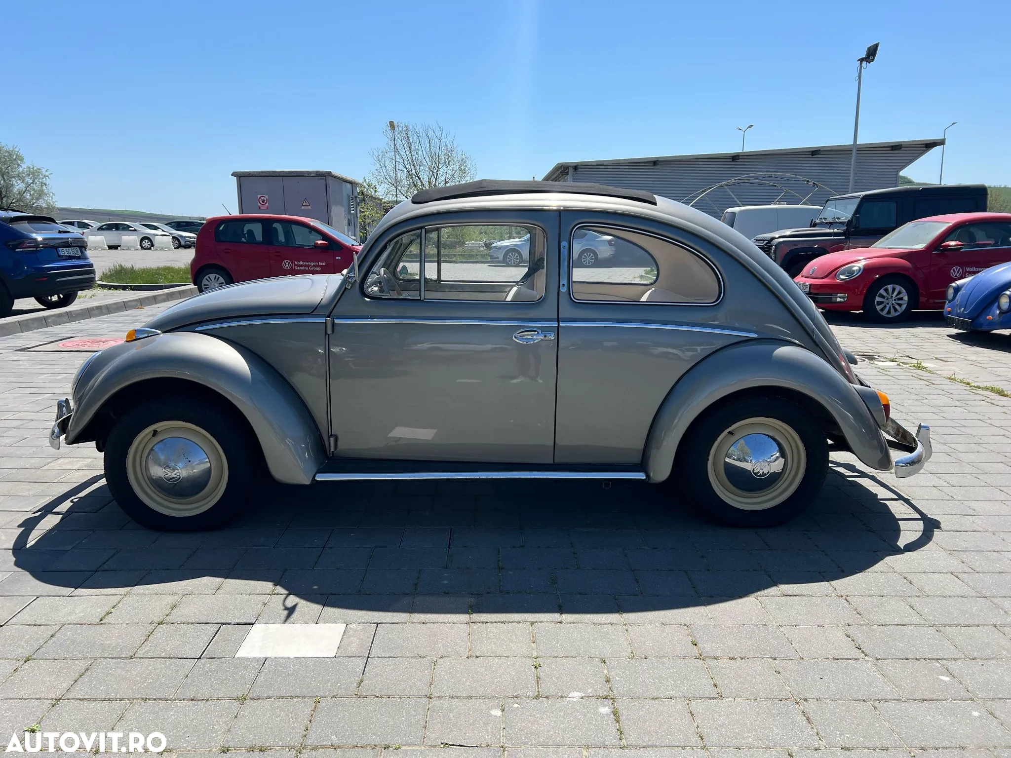 Volkswagen Kafer - 7