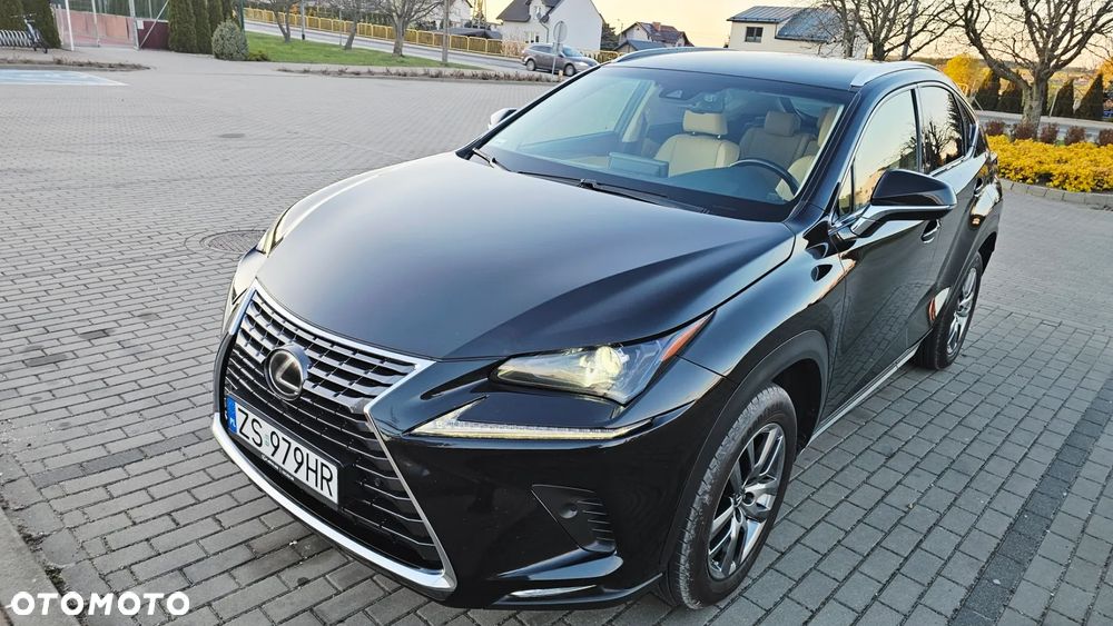 Lexus NX 300 Comfort AWD - 17