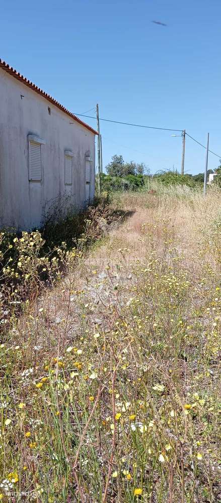 Moradia isolada - Grande imagem: 4/29