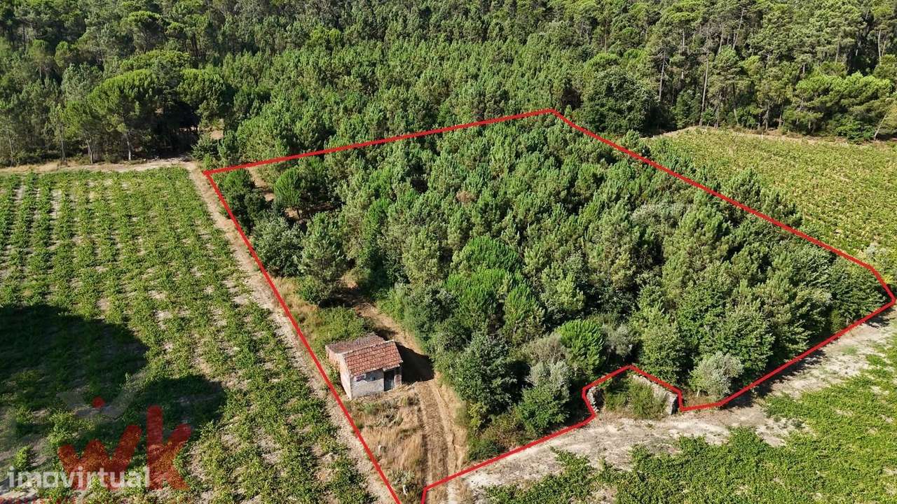 Terreno com + de 3.000m2 com barracão - Grande imagem: 2/26