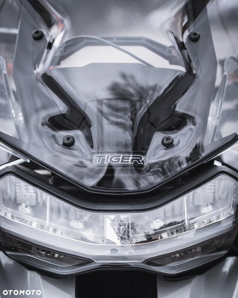 Triumph Tiger - 14