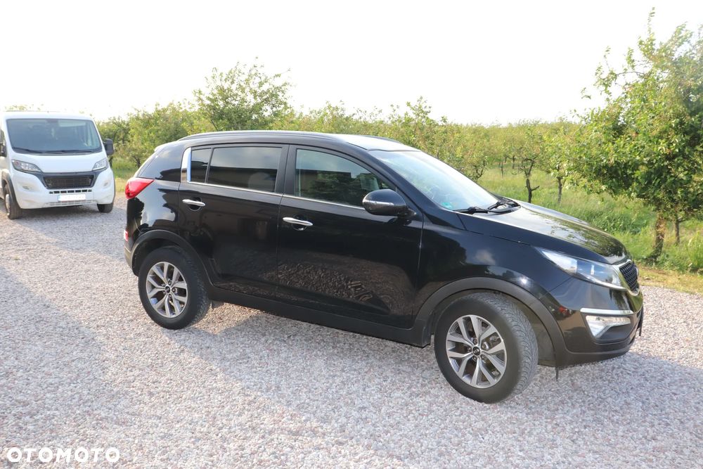 Kia Sportage 1.6 GDI Business Line L 2WD - 24