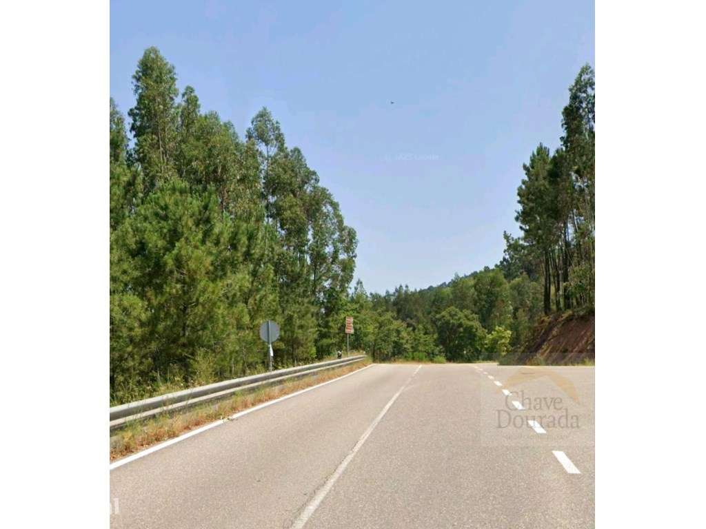 Terreno para quintinha com 4.000m2 - Espinhal - Grande imagem: 3/11