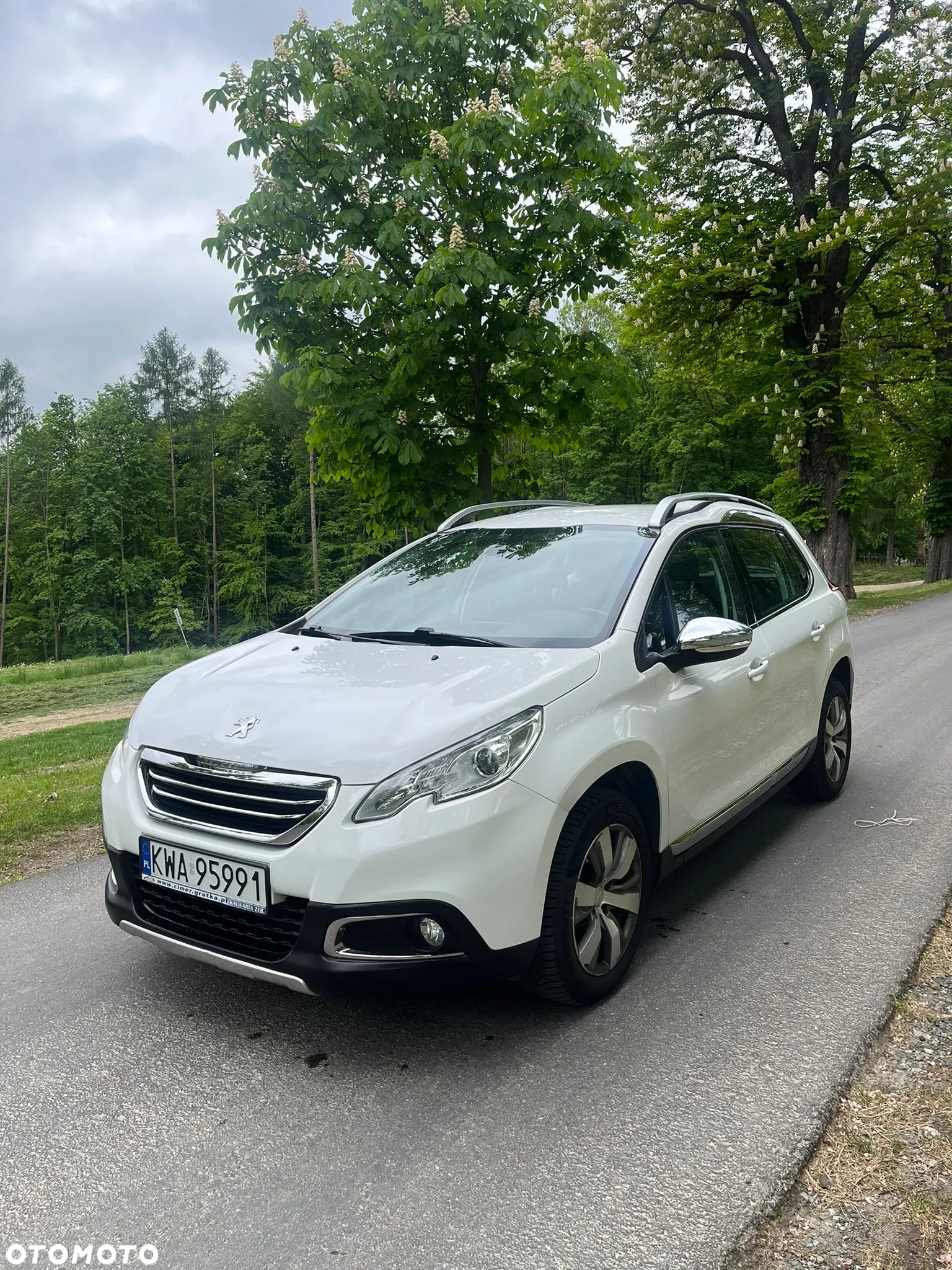 Peugeot 2008 1.2 Pure Tech Style EU6 - 3