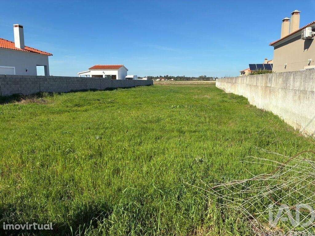 Terreno para construção em Salvaterra de Magos e Foros de Salvaterra - Grande imagem: 2/7