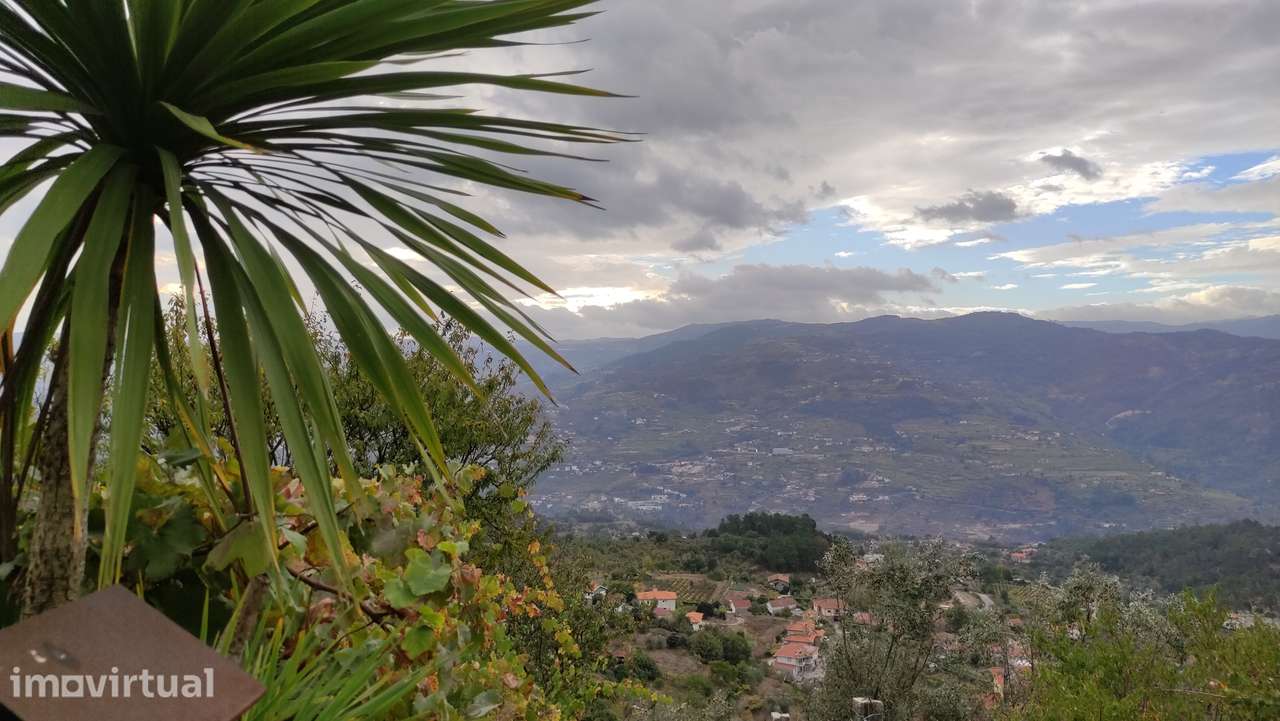 Moradia Devoluta T0 Venda em Santa Cruz do Douro e São Tomé de Covelas - Grande imagem: 4/21