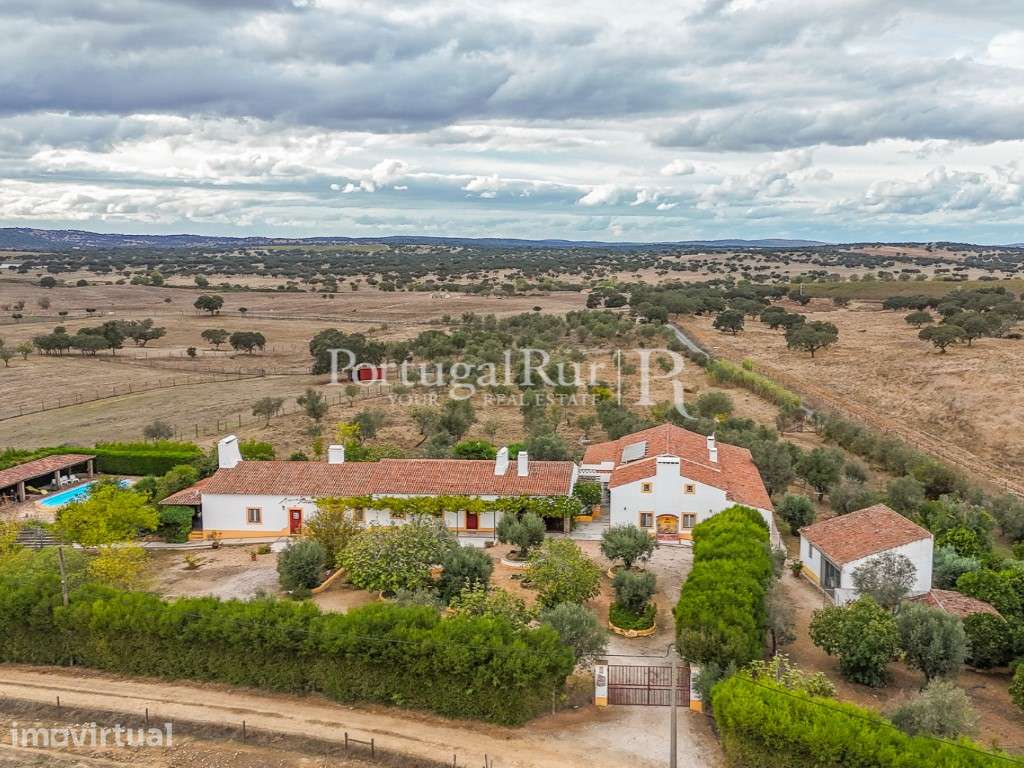 Monte de 4,8 hectares com Moradia T11 para Turismo Rural - Grande imagem: 3/56