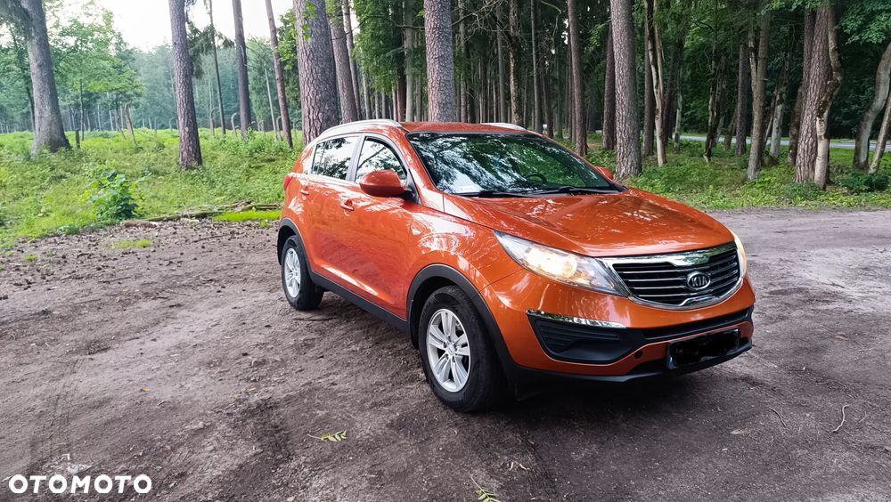 Kia Sportage - 1