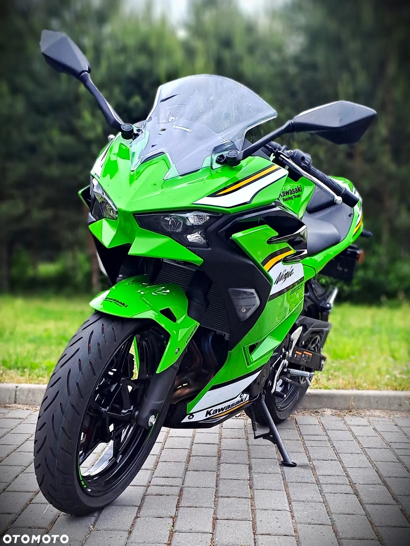 Kawasaki Ninja - 4