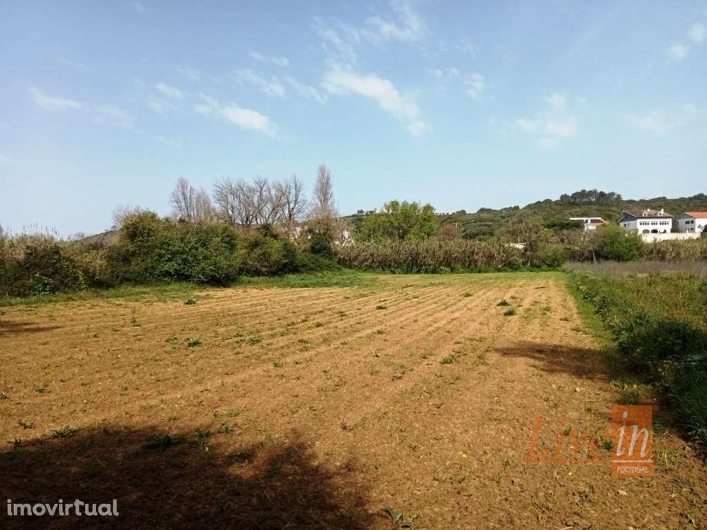 Terreno Agrícola em Ótima Localização com 3500 m2 Junto à Praia Rib... - Grande imagem: 2/8