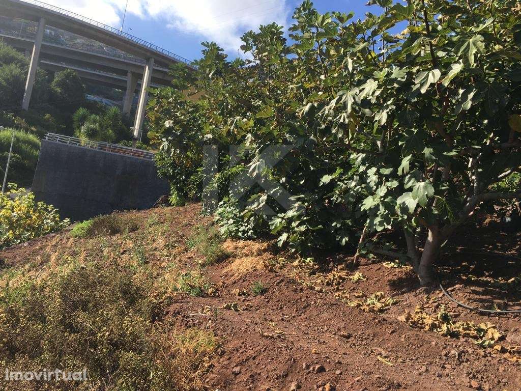 Terreno Localizado em Câmara de Lobos - Grande imagem: 5/18