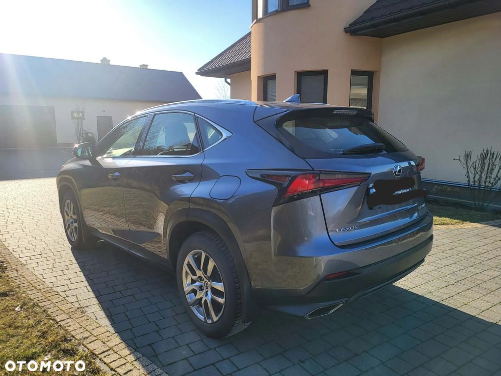 Lexus NX 300 Prestige AWD - 4