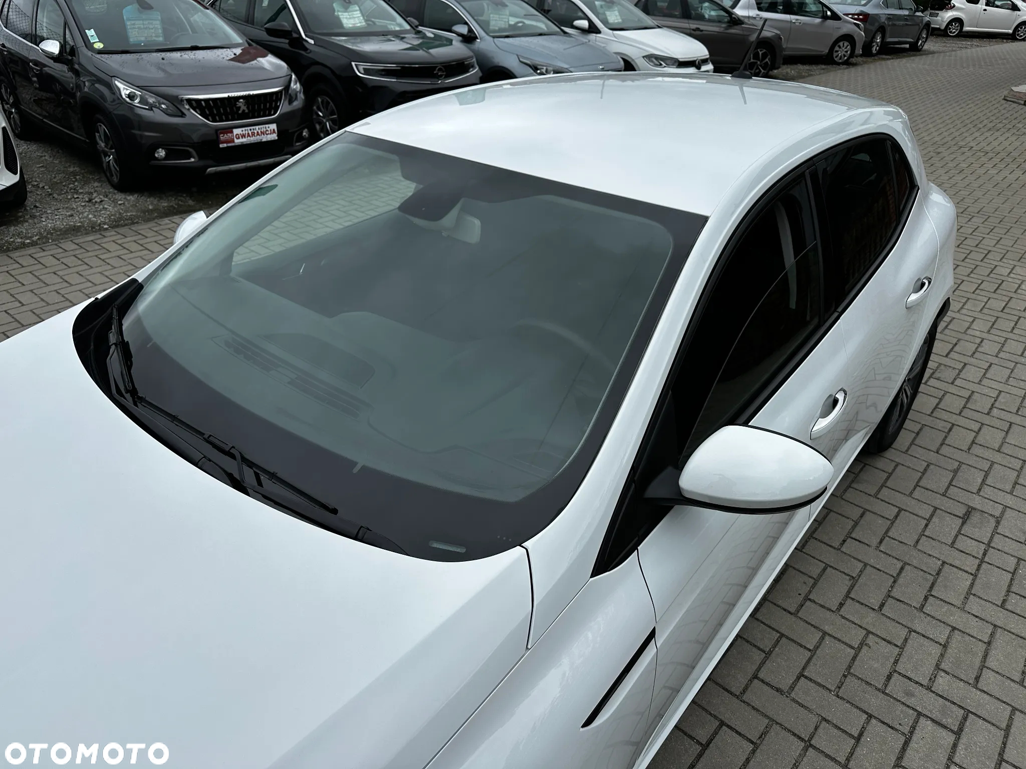 Renault Megane - 32