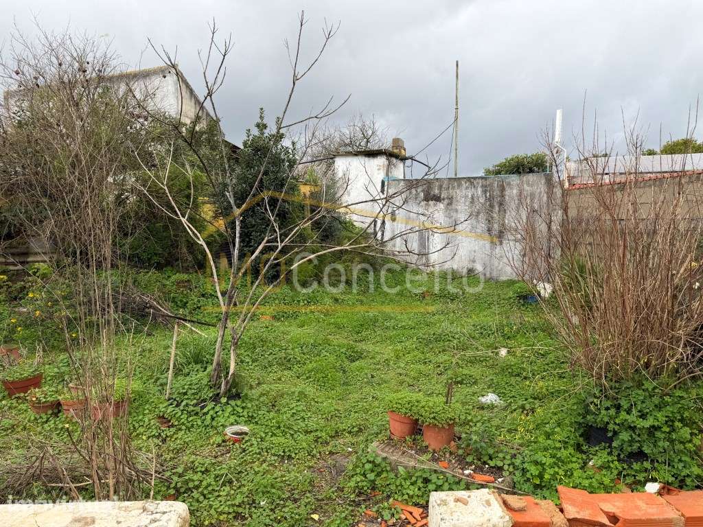 Moradia T2 | Térrea e Espaço Exterior - Riachos, Torres Novas - Grande imagem: 2/18