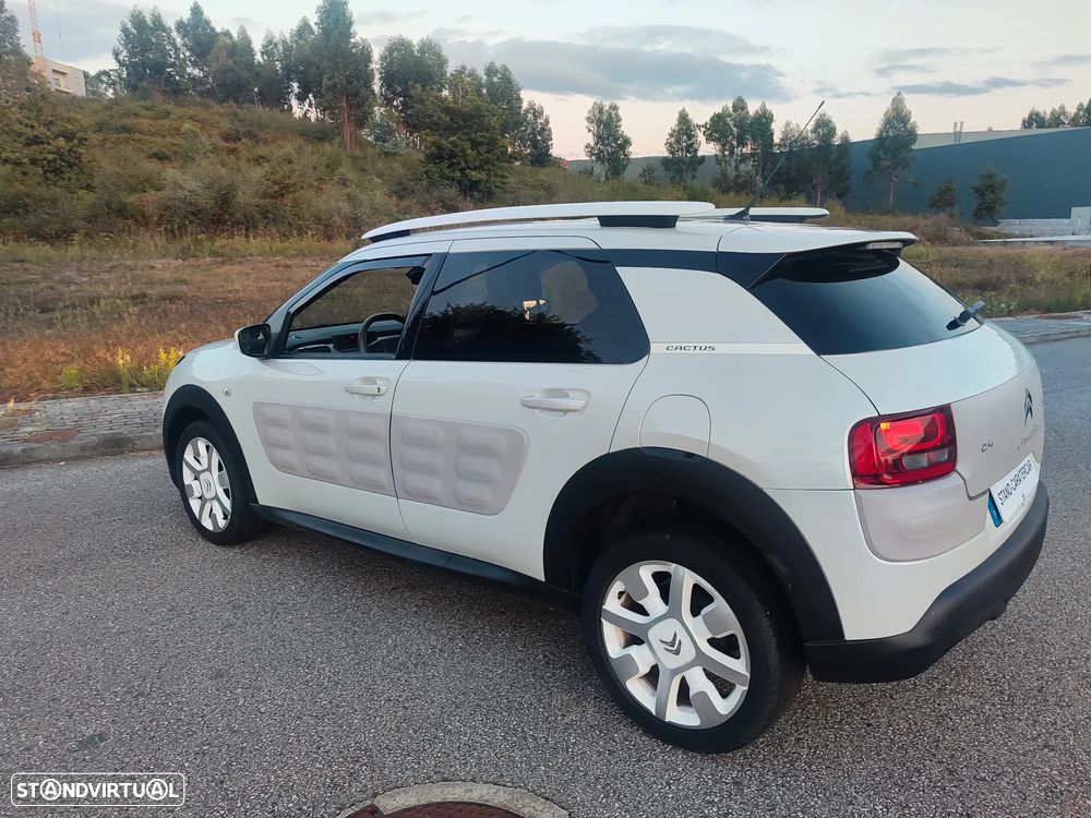 Citroën C4 Cactus 1.2 PureTech Rip Curl - 21