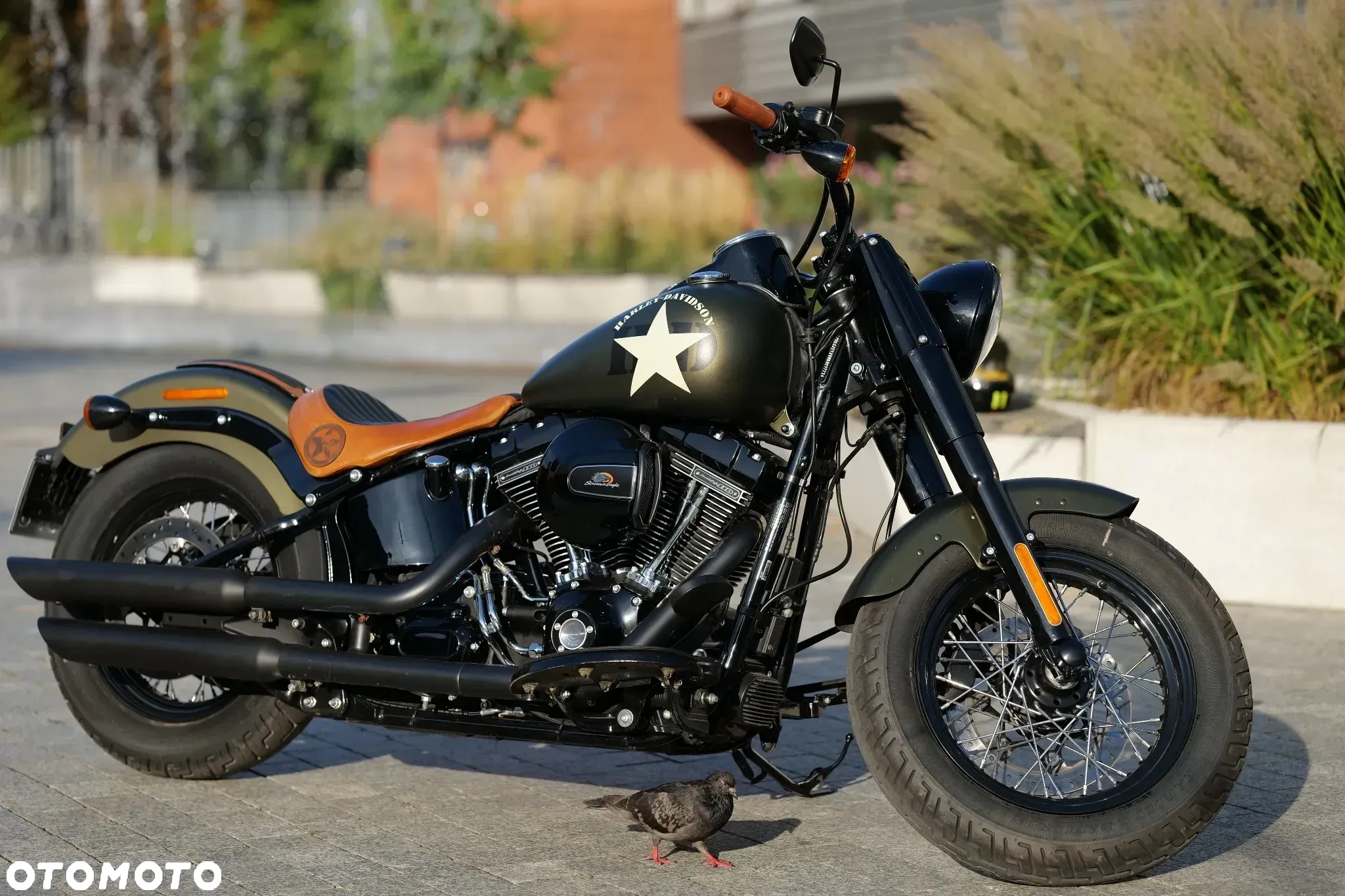 Harley-Davidson Softail Slim - 17