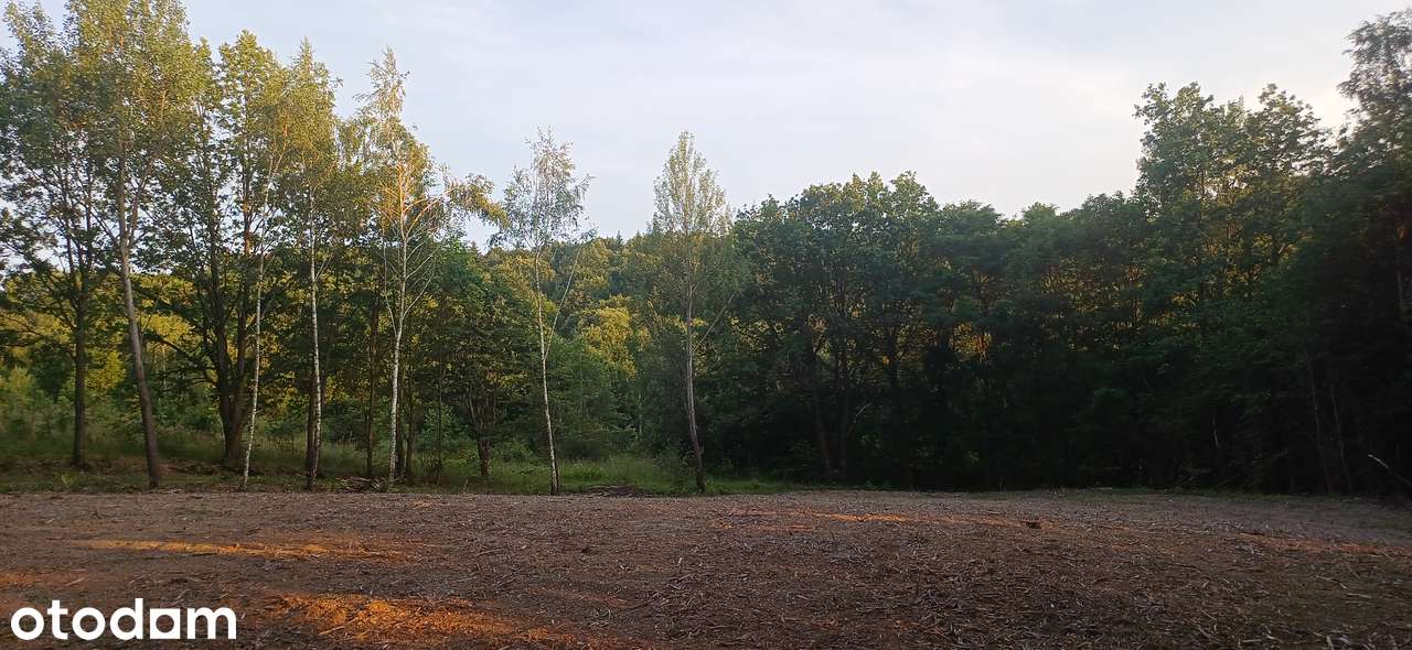 Malownicza działka budowlana | Cisza, natura | 31 km od Krakowa - Pełny obrazek: 3/6