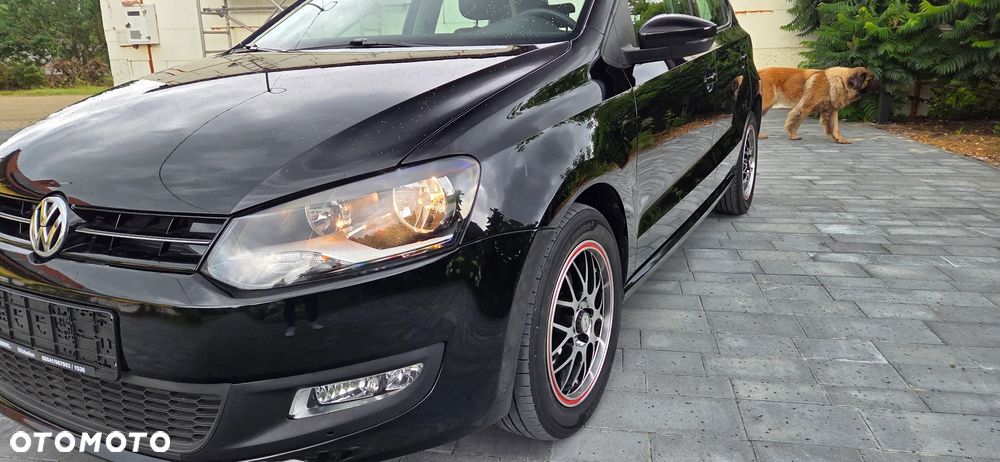 Volkswagen Polo - 15