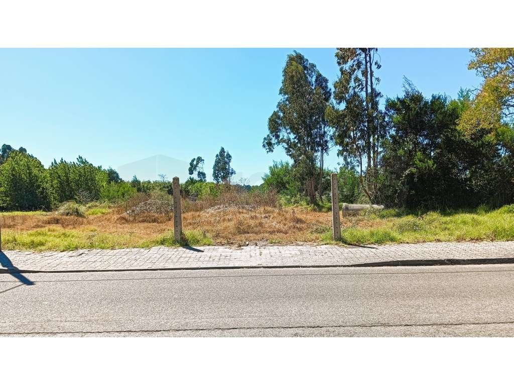Terreno para construção de moradia- Vagos Próximo ao LIDL - Grande imagem: 5/16