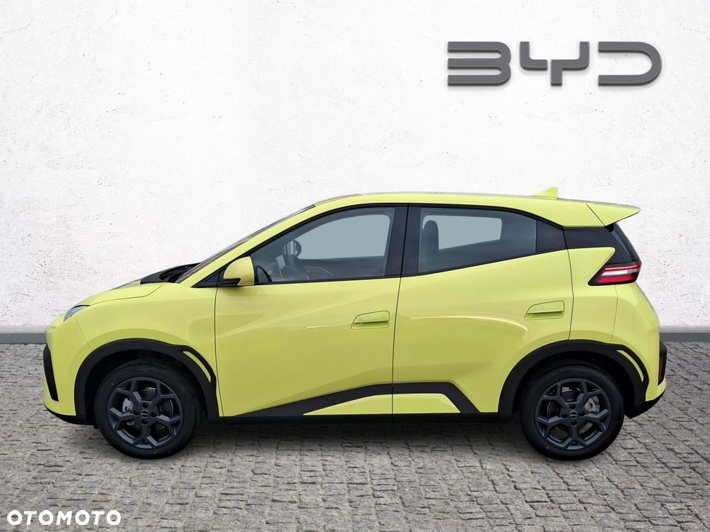 BYD Dolphin Surf - 2