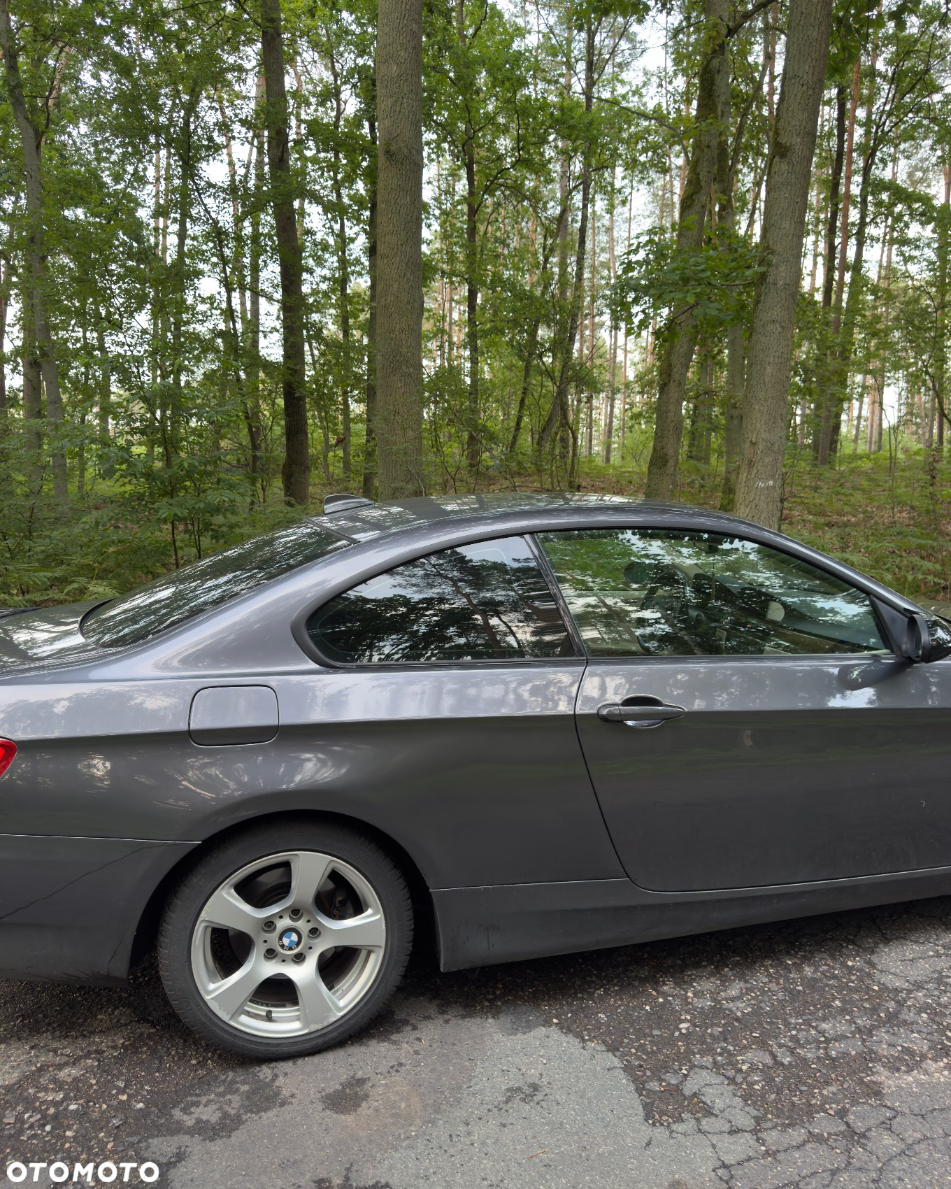 BMW Seria 3 - 13