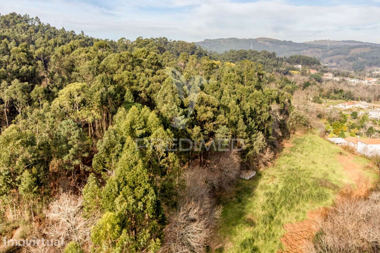 Terreno para venda em Nevogilde, Vila Verde – 19.000 m² - Grande imagem: 3/24