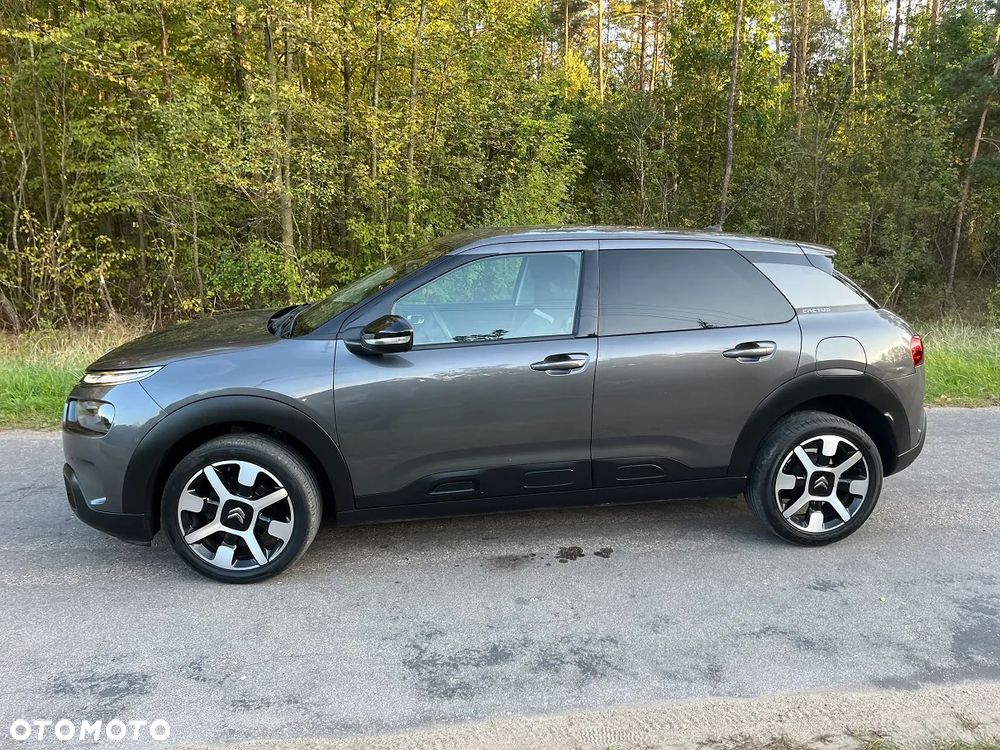 Citroën C4 Cactus Pure Tech 110 Stop&Start Shine - 22