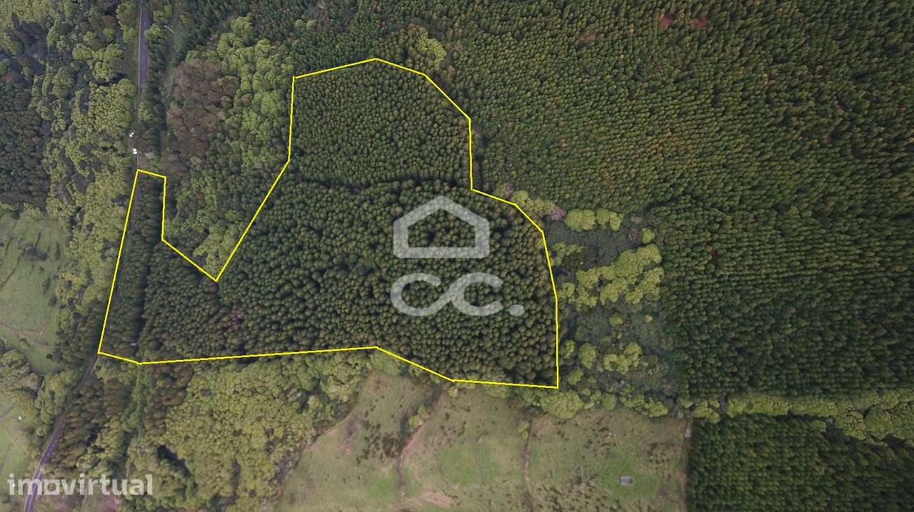 Terreno com 41.624,00 m2 - Santo Amaro - São Roque do Pico - Grande imagem: 3/10