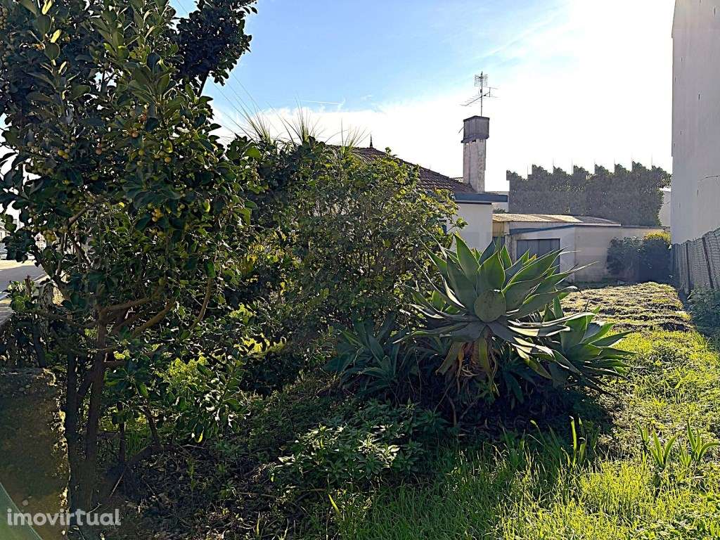 Moradia para restauro, Térrea e isolada no centro da Gafanha da Nazaré - Grande imagem: 4/20