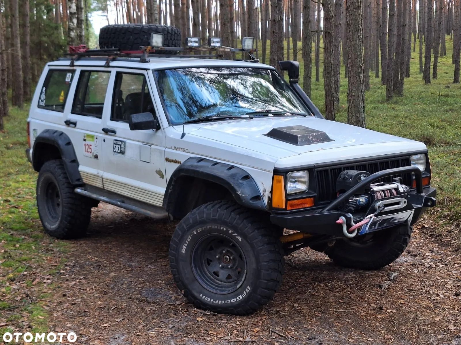 Jeep Cherokee 4.0 Limited - 1