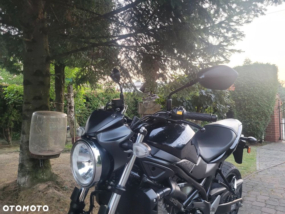 Suzuki SV - 18