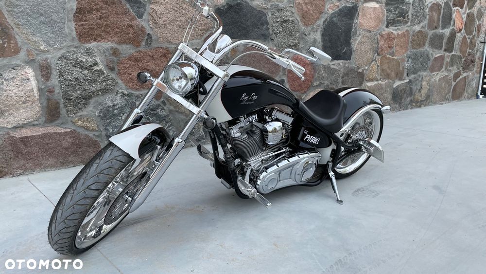 Harley-Davidson Inny - 4