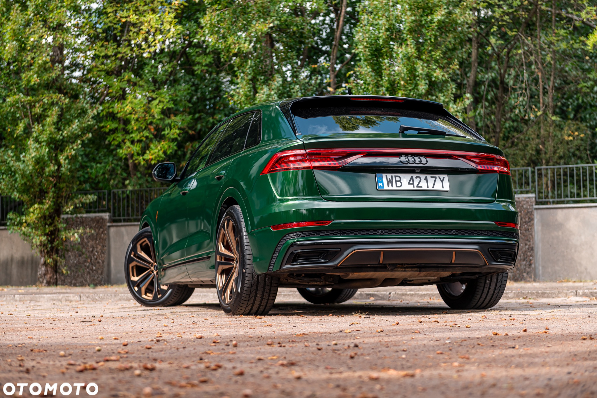 Audi Q8 - 10
