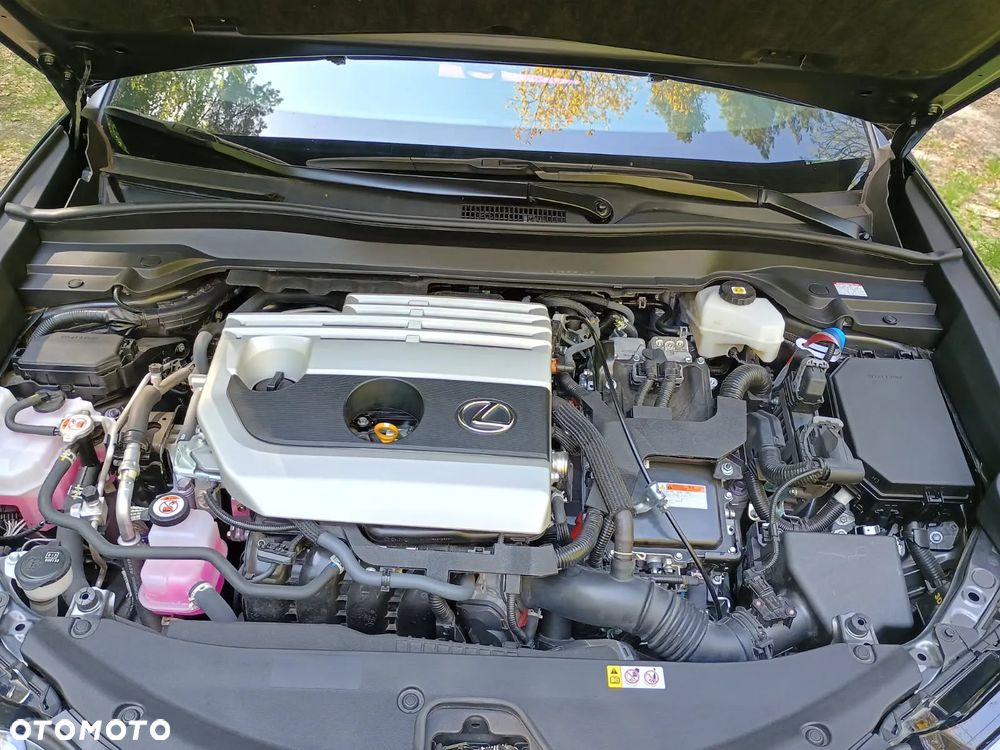 Lexus UX 250h Prestige 2WD - 31