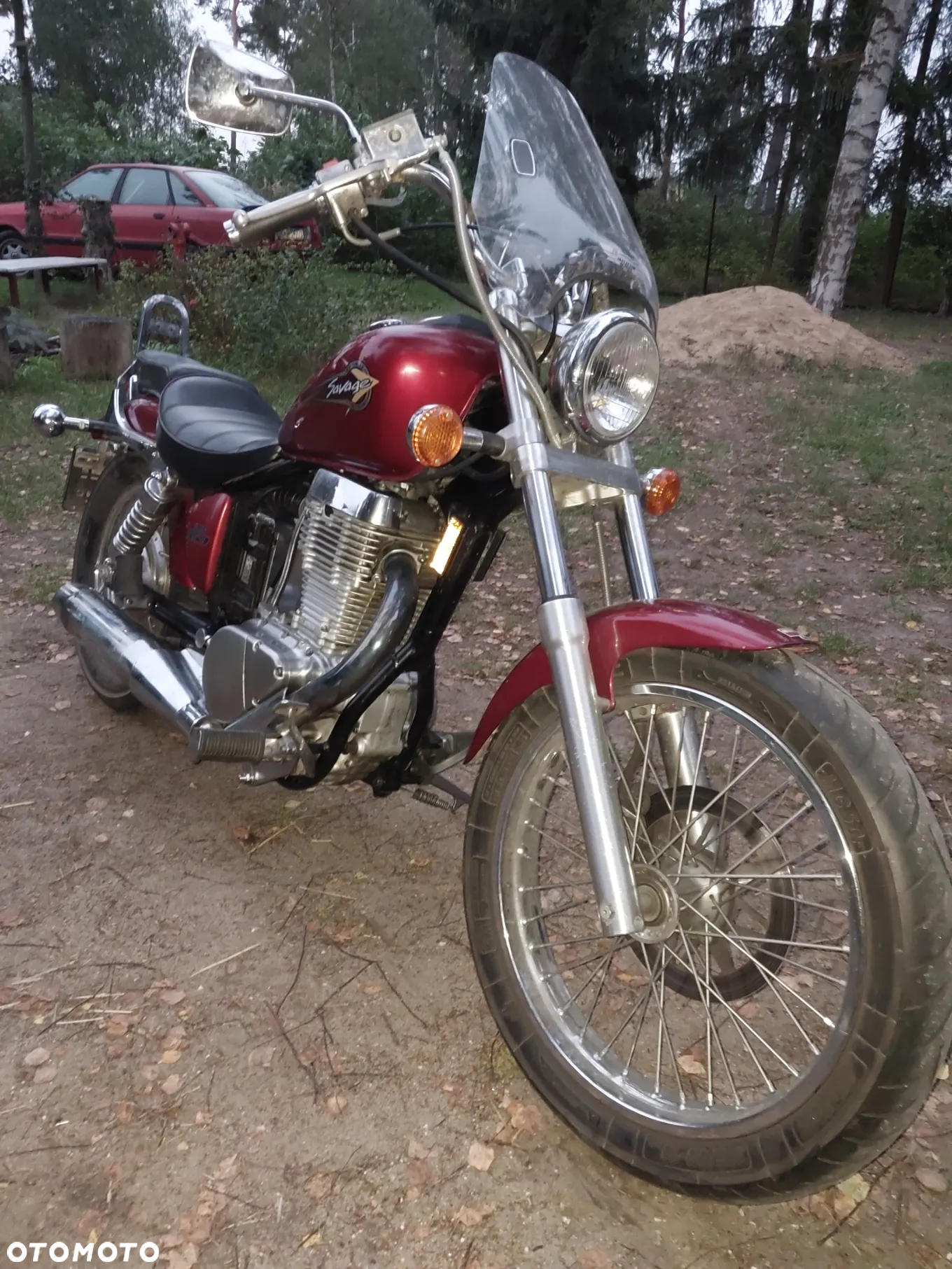 Suzuki Savage - 4