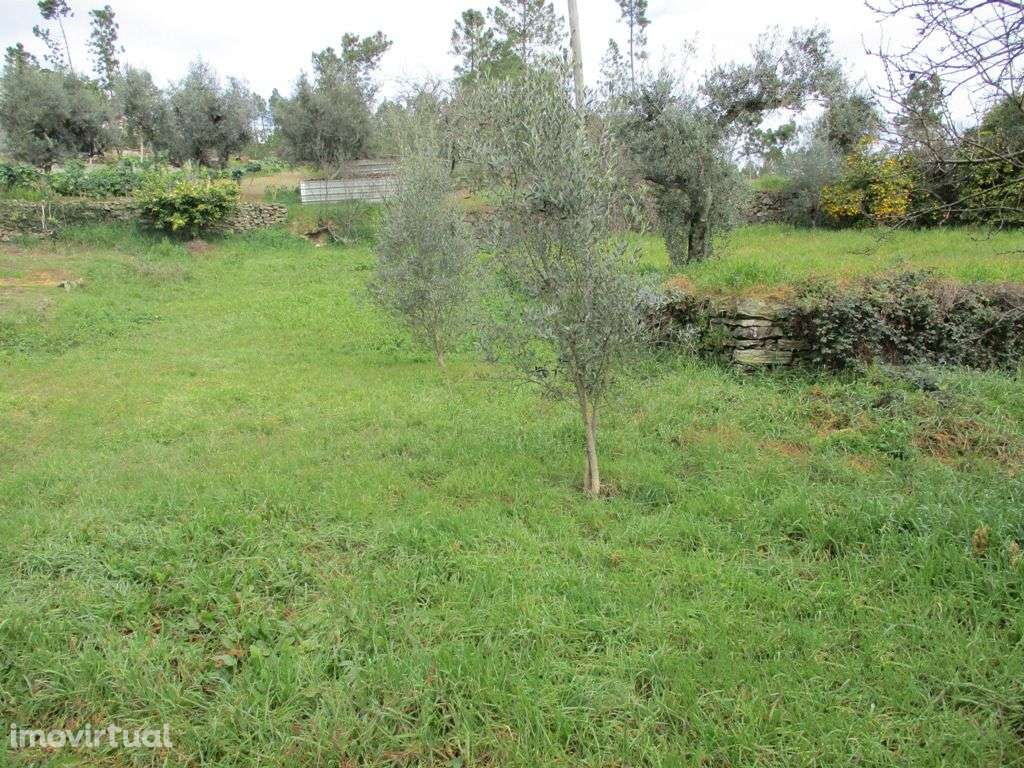 Terreno - Grande imagem: 5/5