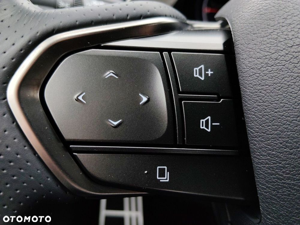 Lexus RX - 27