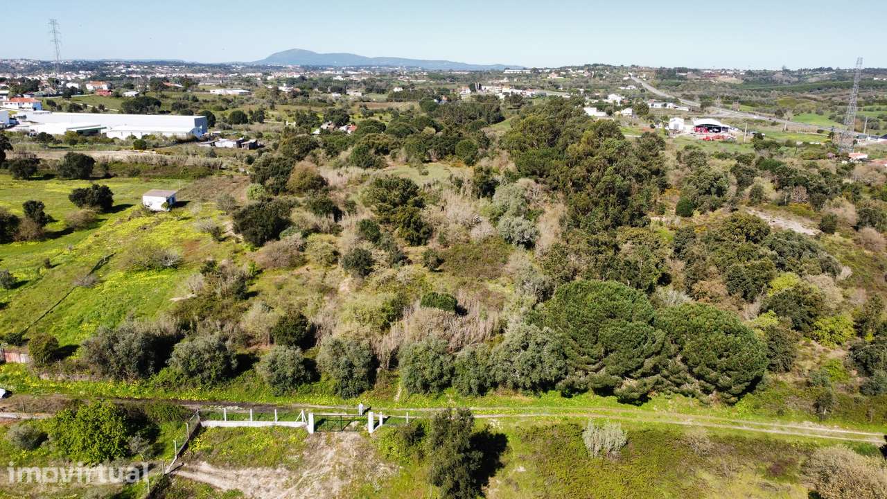 Apresento terreno agrícola, no Cartaxo com área total de 12 200 m2 - Grande imagem: 3/12