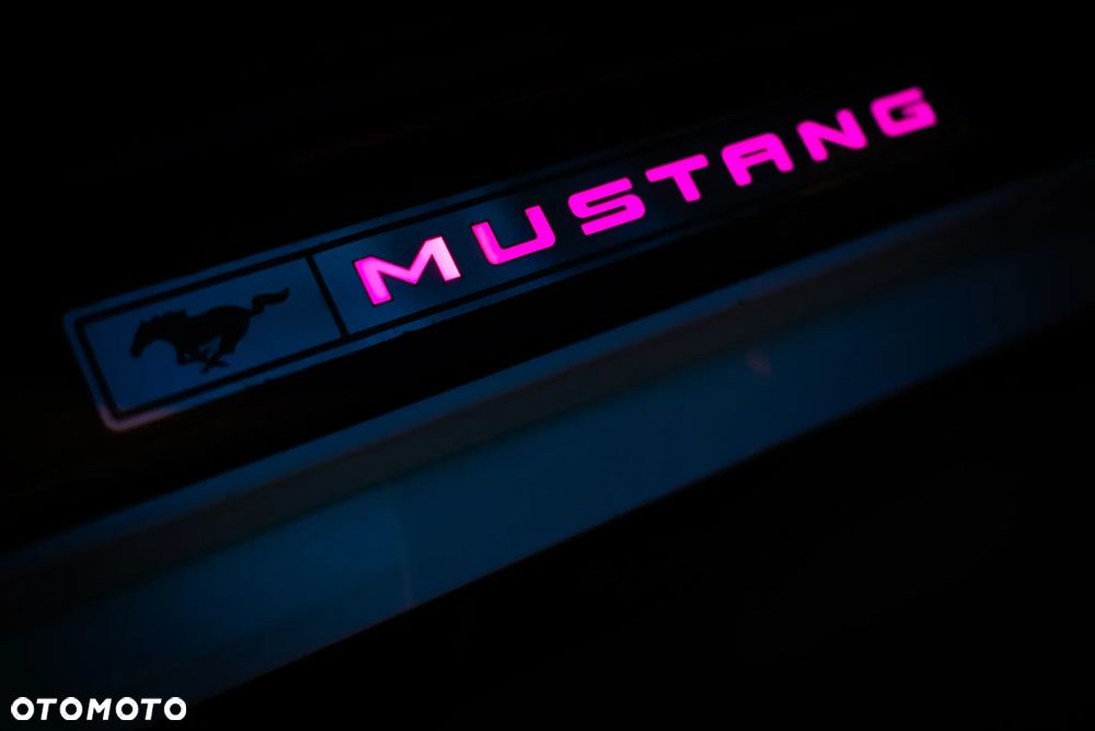 Ford Mustang - 19